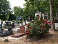 Nézet a jobb oldali falsírboltokra